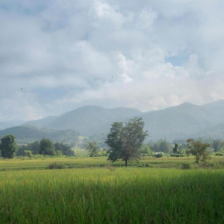 Camp View Mountain - Sell Experience By Paddy Fields Haven - Natures Nest Pai Esterno foto