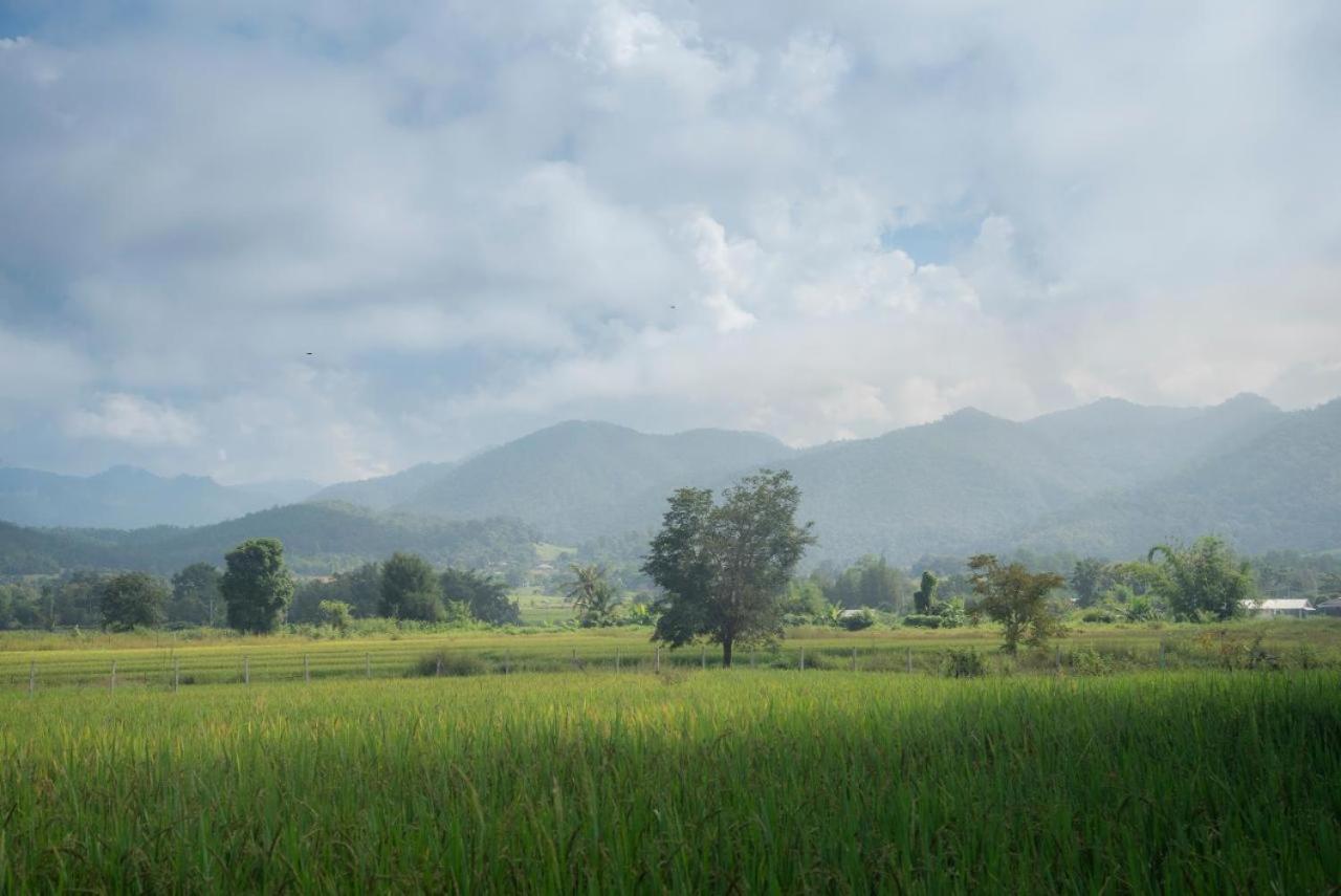 Camp View Mountain - Sell Experience By Paddy Fields Haven - Natures Nest Pai Esterno foto