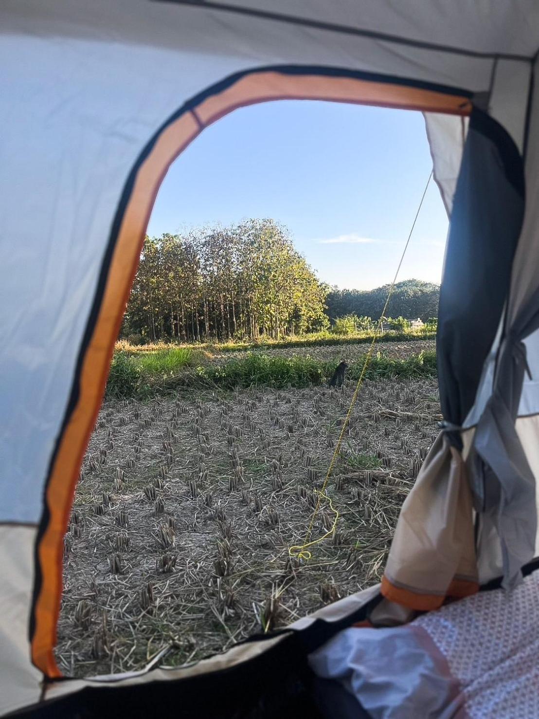 Camp View Mountain - Sell Experience By Paddy Fields Haven - Natures Nest Pai Esterno foto