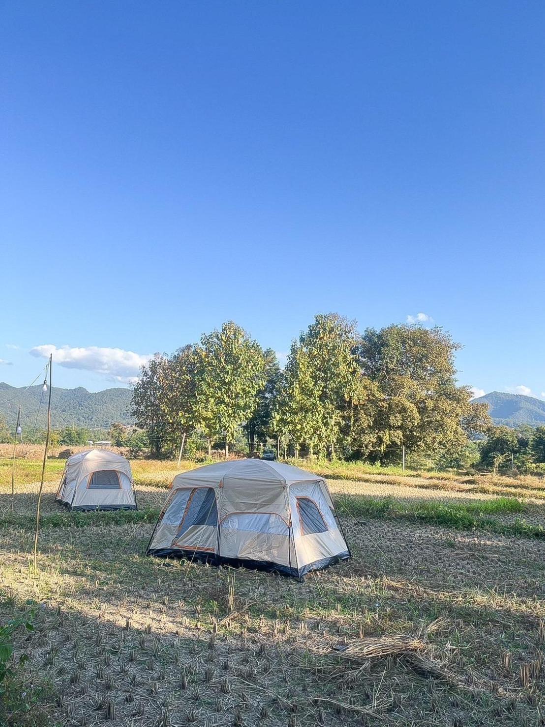 Camp View Mountain - Sell Experience By Paddy Fields Haven - Natures Nest Pai Esterno foto