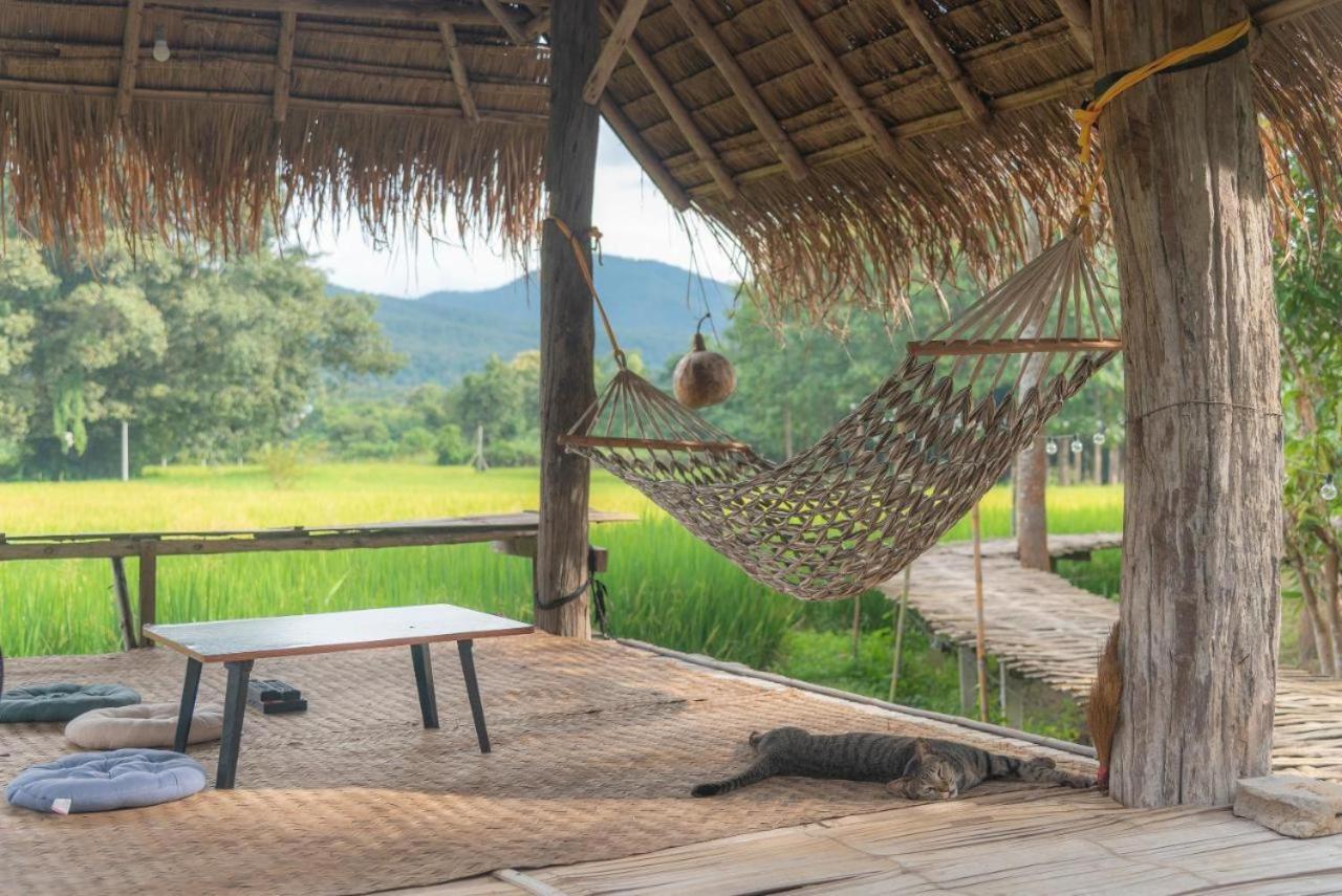 Camp View Mountain - Sell Experience By Paddy Fields Haven - Natures Nest Pai Esterno foto
